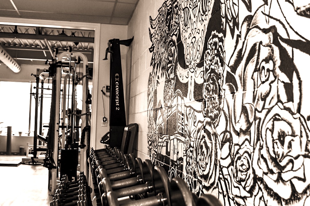 Dumbbell rack and wall art, wide view